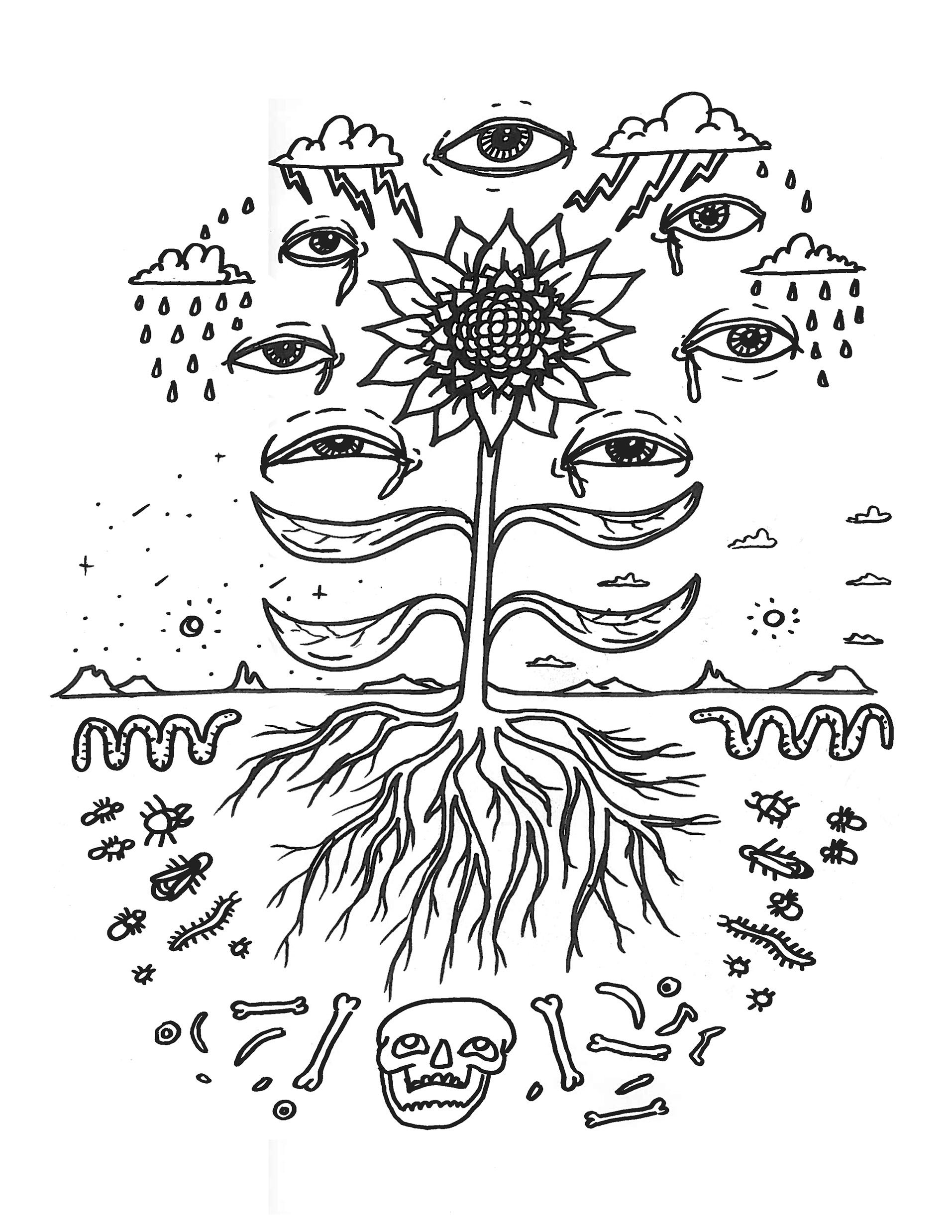 Sunflower